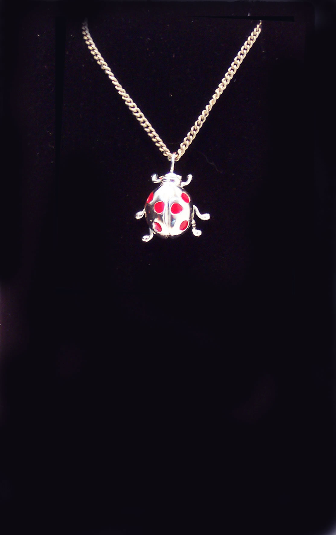 Silver and Enamel Ladybird Pendant